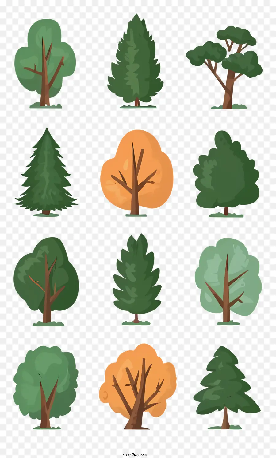 alberi forme dimensioni dimensioni di colori conifere alberi - Alberi diversi in varie forme, colori, dimensioni