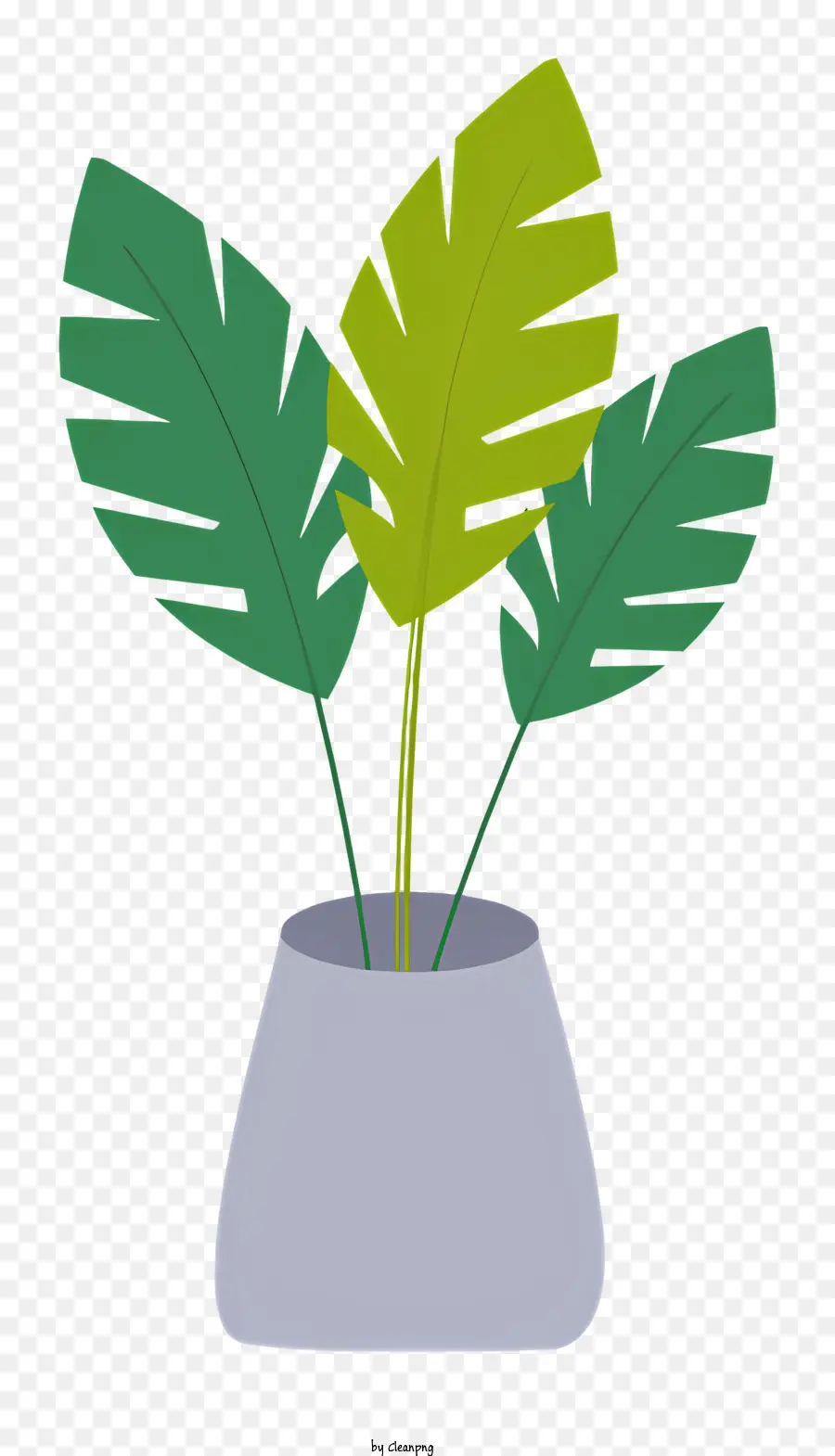kleiner pflanzlicher Keramik -Topfgrüner Blätter dunkelgrauer Topf Schwarzer Hintergrund - Kleine, ungesunde Zimmerpflanze im Keramik -Topf