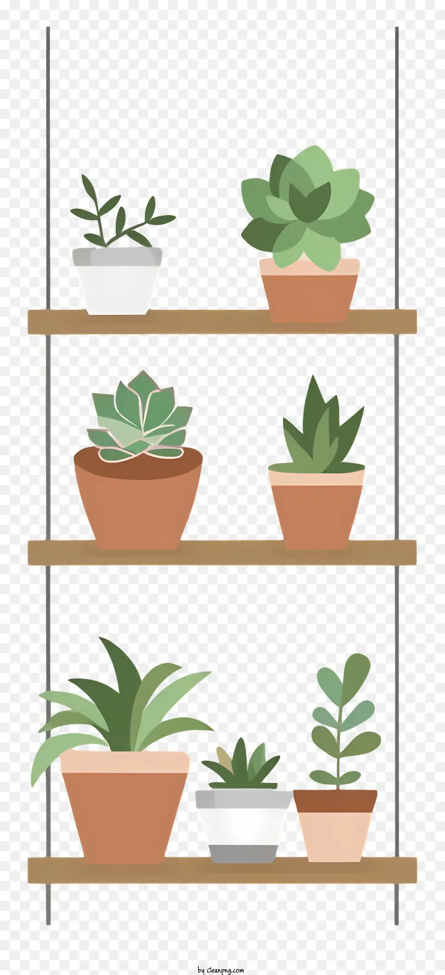 sfondo bianco - Diverse piante in vaso su scaffale in legno con aste