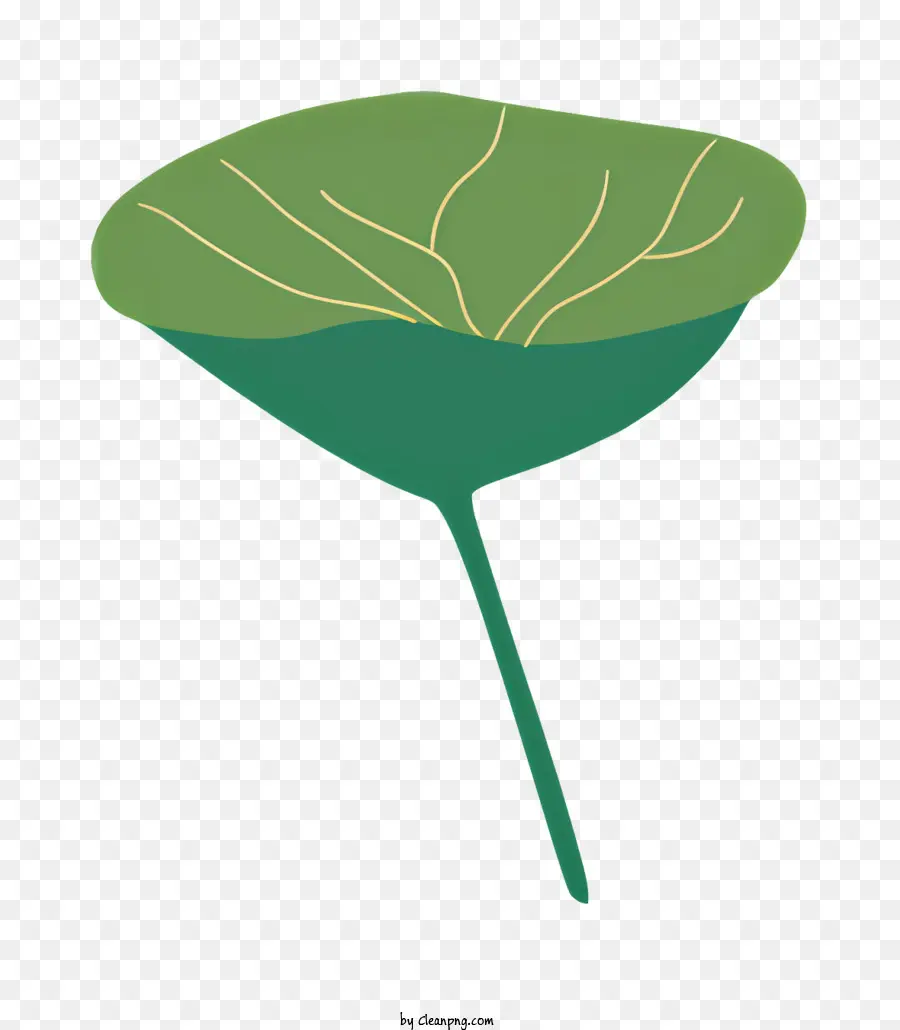 grünes Blatt - Grünes Blatt mit kleinen Venen, spitze Spitze