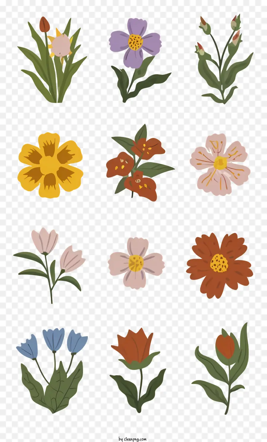 bouquet di fiori - Illustrazioni floreali con fiori colorati in fiori