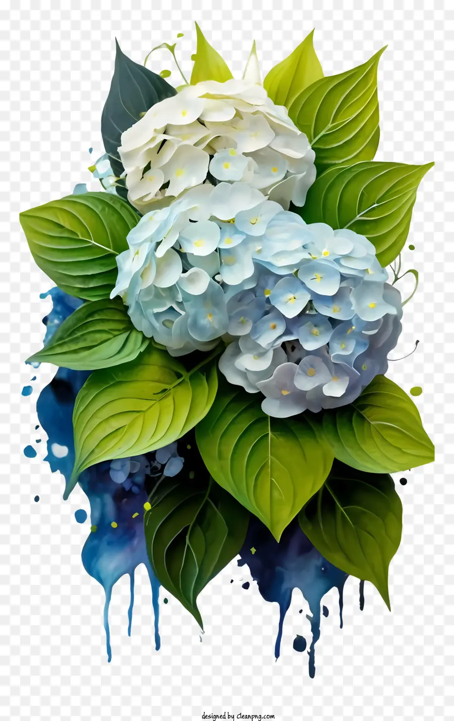 Malen Bouquet White Hortensias Blue Hortensias Schwarzer Hintergrund - Gemälde von weißen und blauen Hortensien auf dunklem Hintergrund