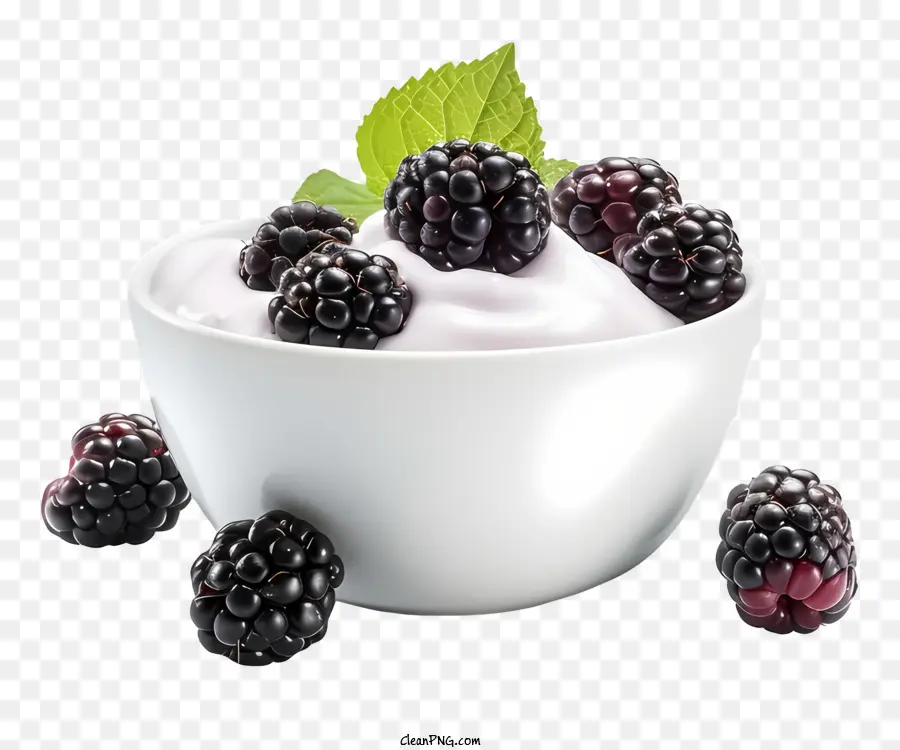 Blackberries Mint Fruit Bowl Foto Fotografia Black Sfondo - Blackberries e menta in ciotola su sfondo nero