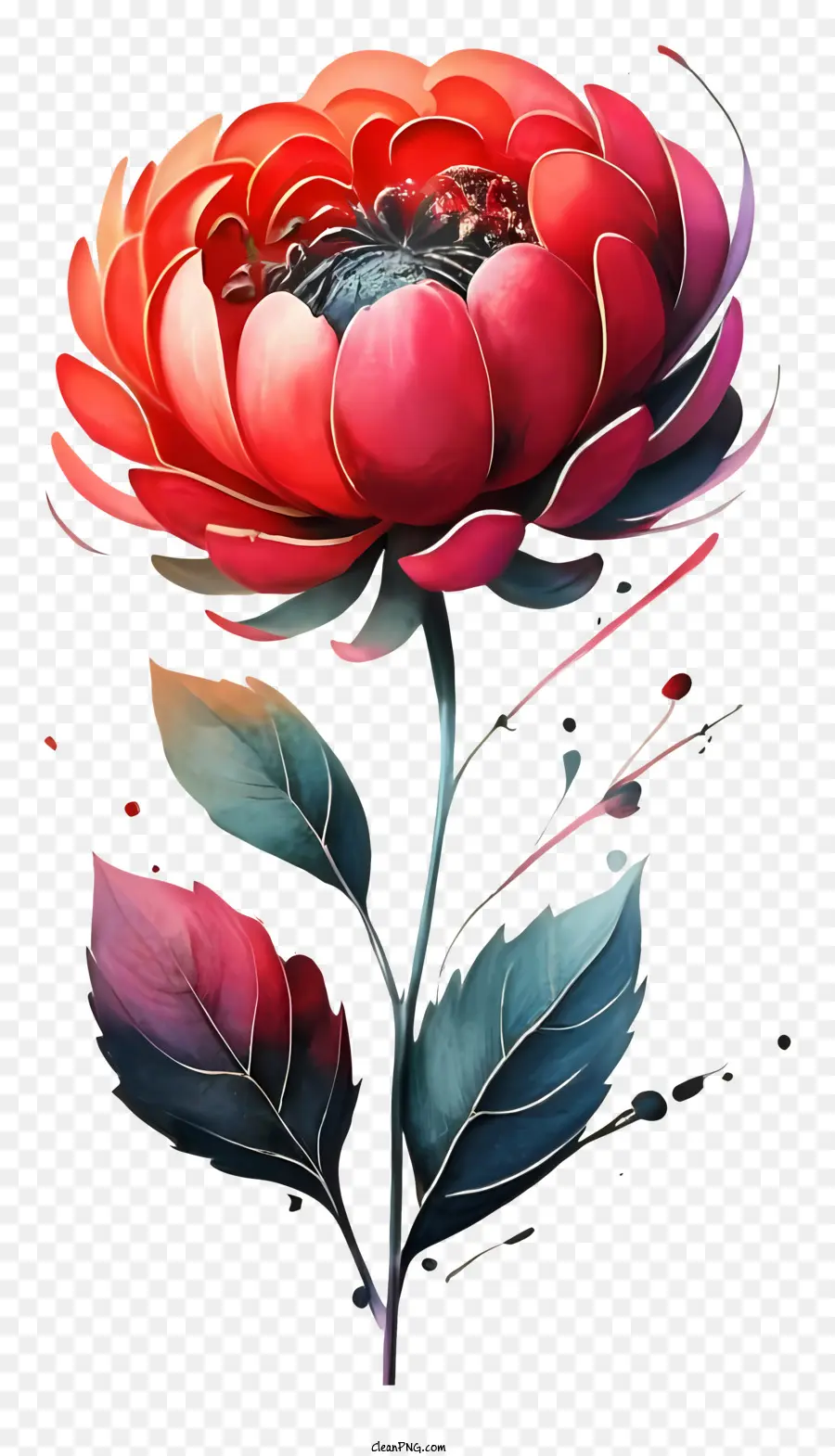 fiore rosso - Fiore rosso con foglie lunghe e petali scuri