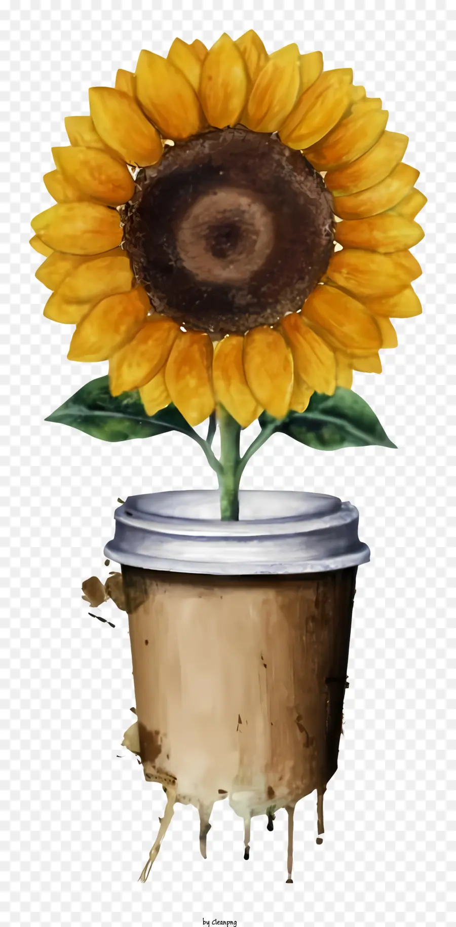 Kaffeetasse - Nahaufnahme Sonnenblume in abgenutzter Kaffeetasse, dunkler Beleuchtung