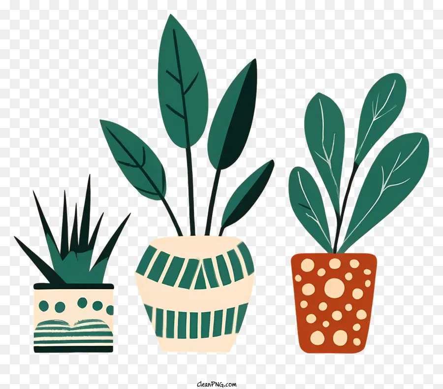 potted plants black background large leaves small leaves no light source