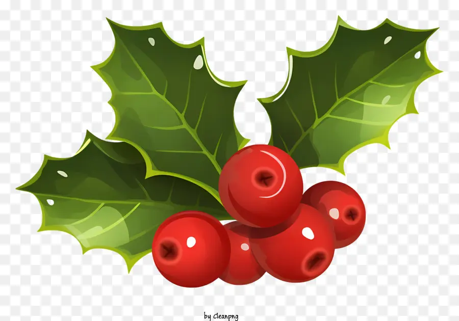 red holly leaf holly berry computer generated image flat angular shapes small curved lines