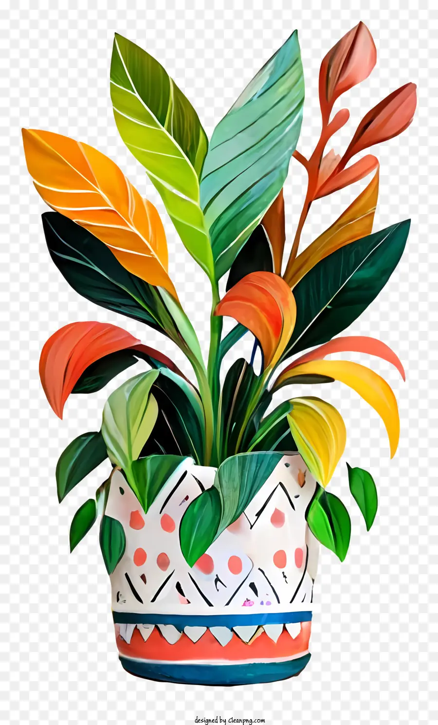 vibrant potted plant multicolored leaves multicolored stems black background colorful plant