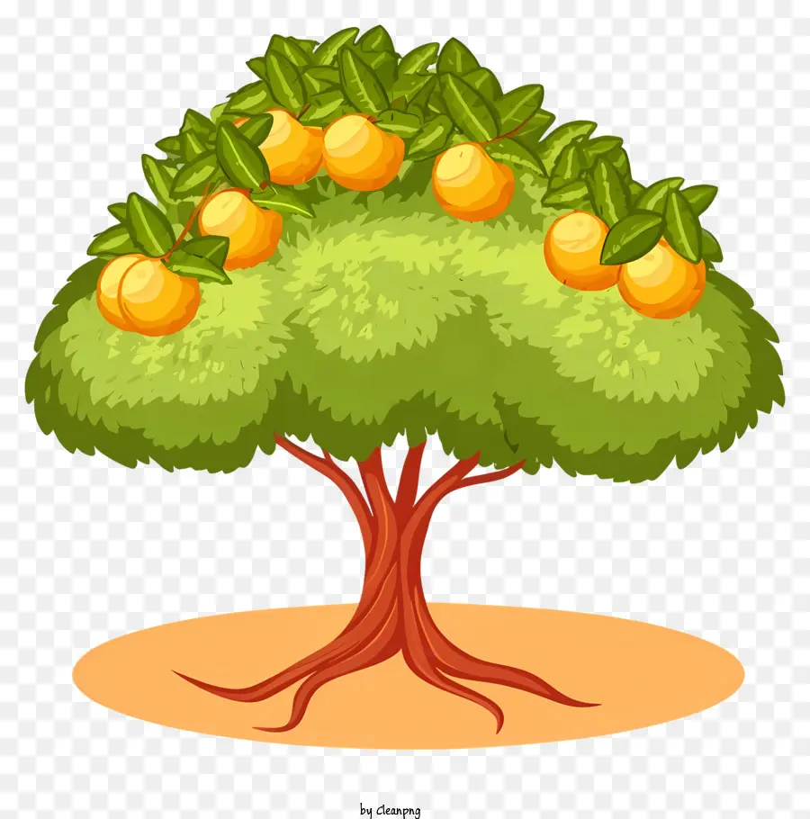 obstbaum - Baum mit orangefarbenen Früchten und grünen Blättern