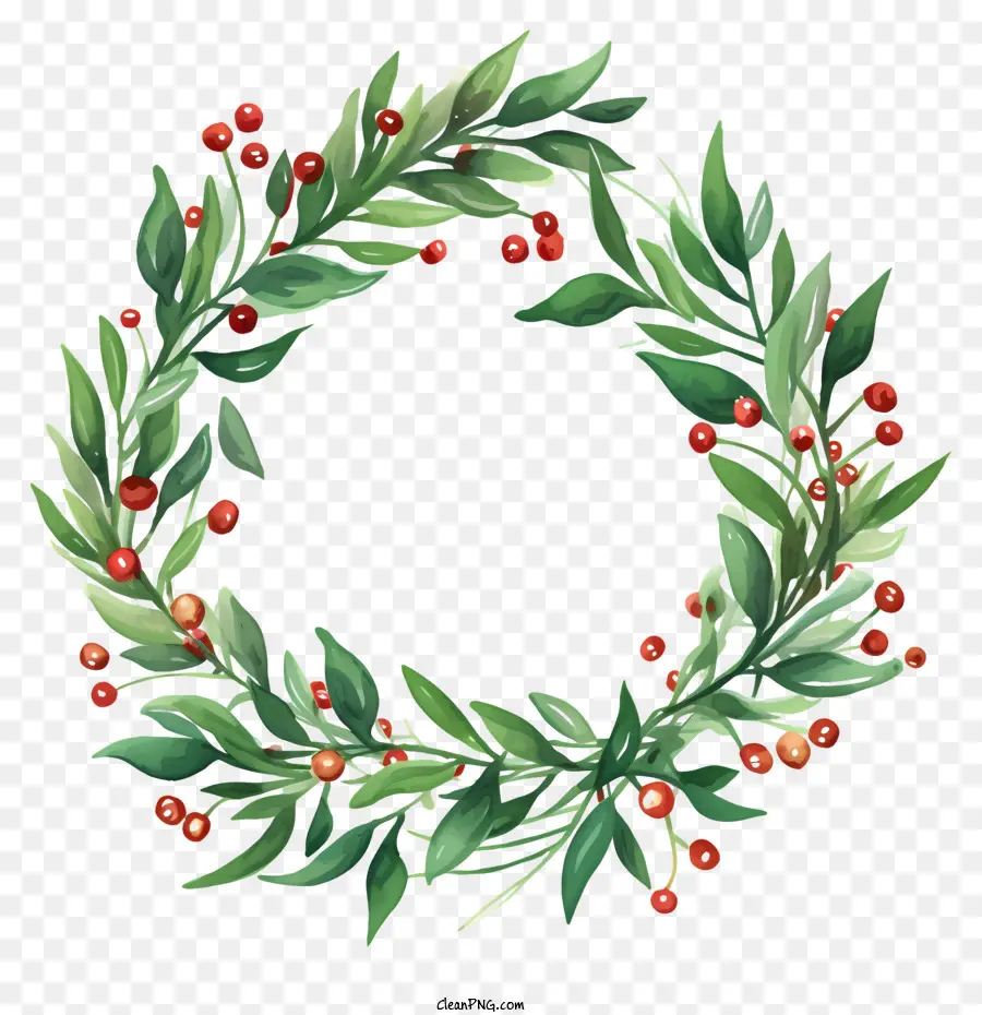 holly wreath green leaves red berries black background realistic image