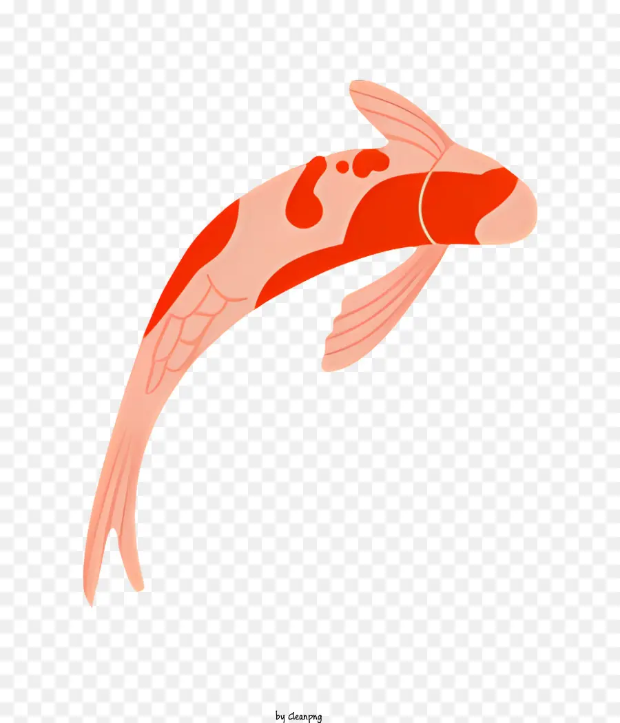 orange fish large fish dark red body white fins black tail