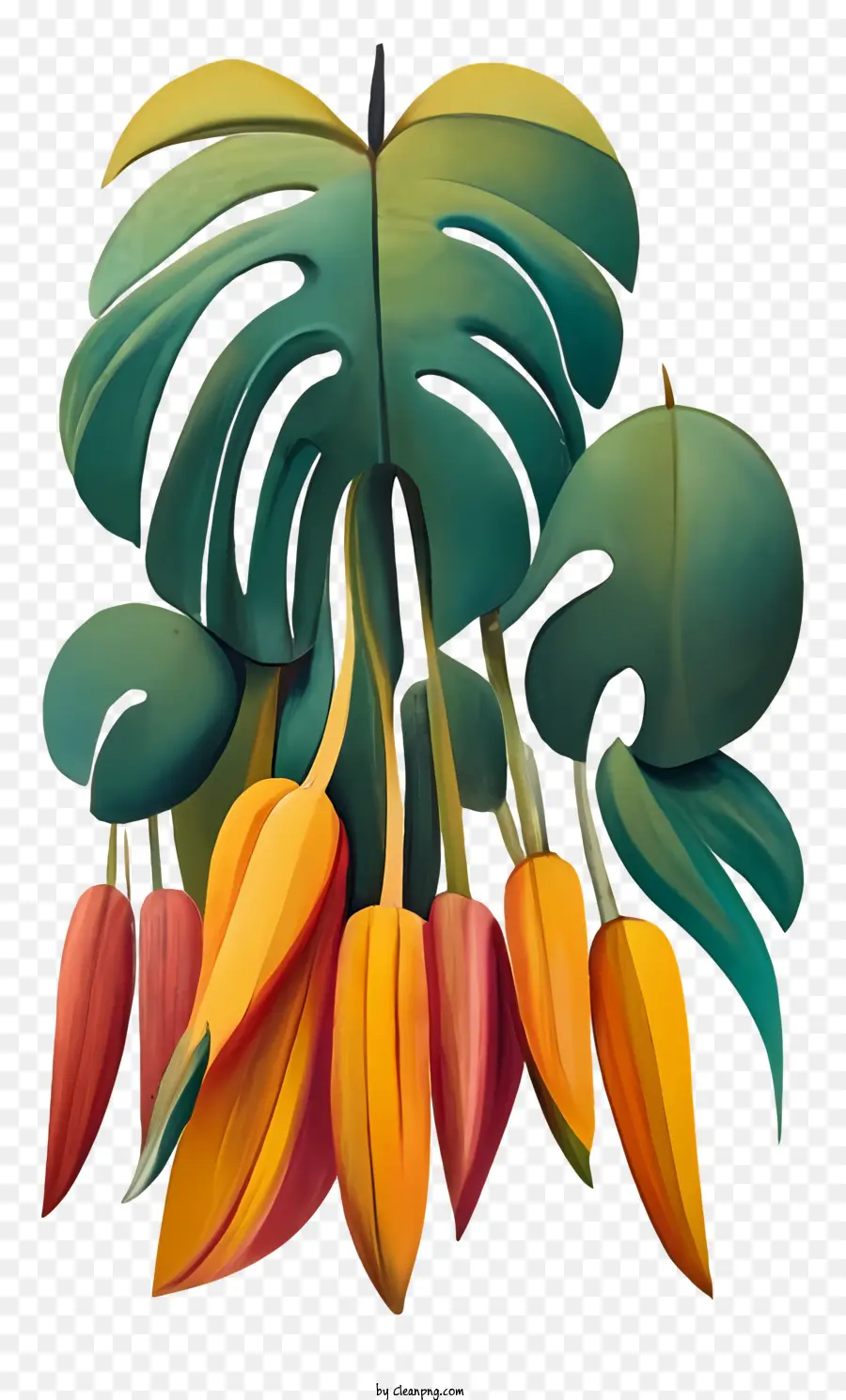 Orange - Farbenfrohe Pflanze mit großen, lebendigen Blüten