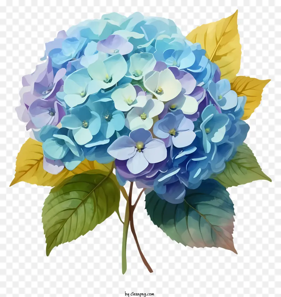 Blumenstrauß - Blauer Hydrantblütenstrauß mit grünen Blättern