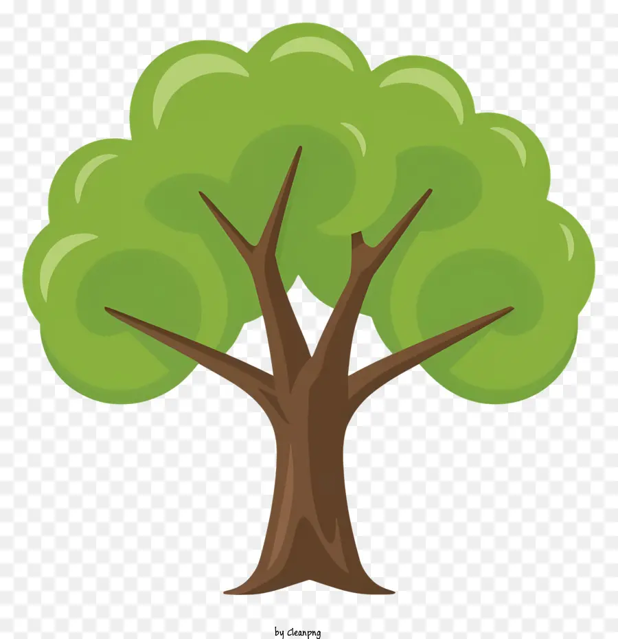 Baumgrünen Rumpf großer Blatt -Baldachin Symmetrischer Baum gut ausbalancierter Baum - Symmetrischer grüner Baum mit Blattdach