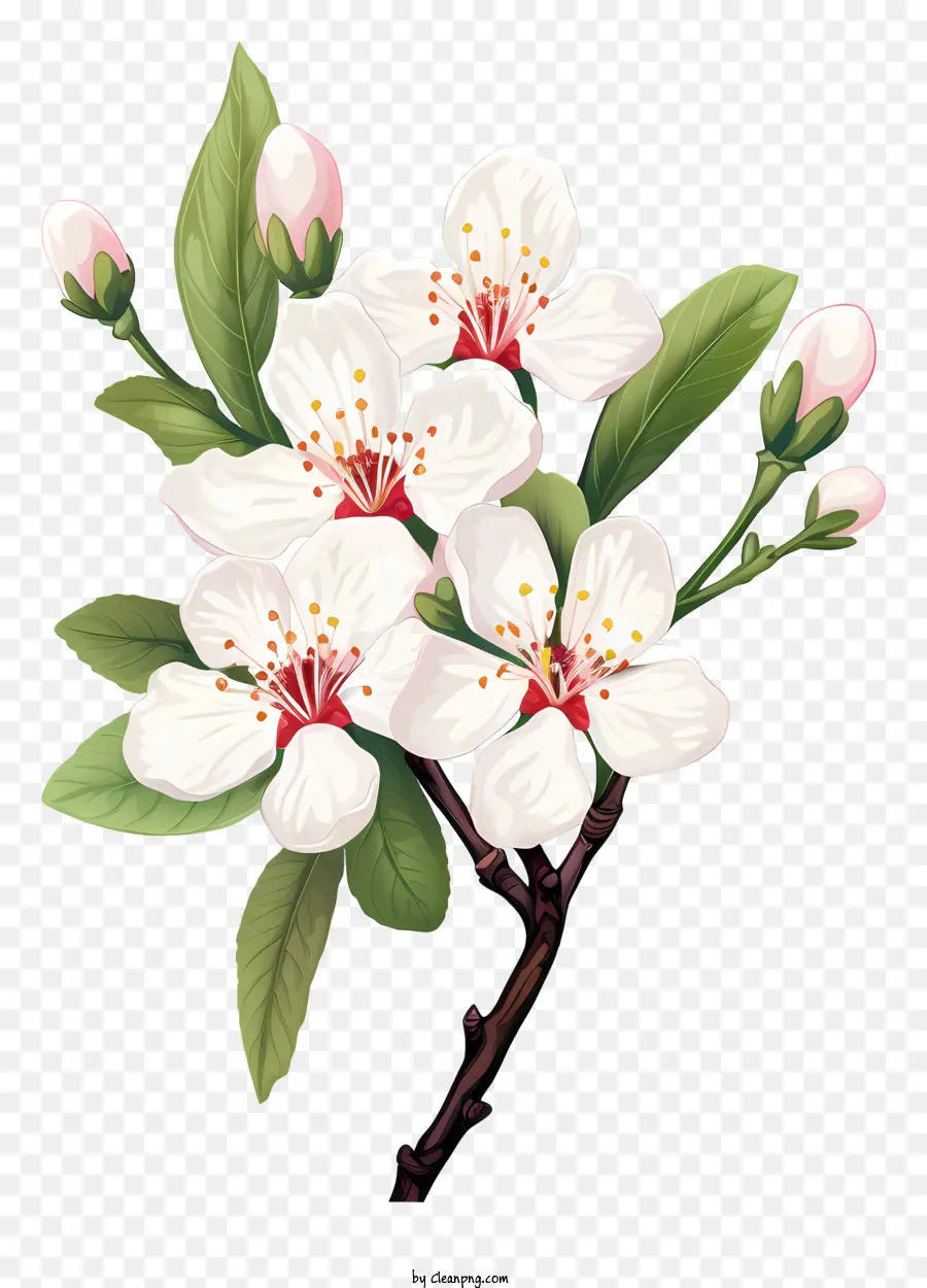 cây hoa trắng hoa màu trắng lá xanh lá hoa hoa có lá màu xanh lá cây - Cây hoa trắng thực tế với lá xanh