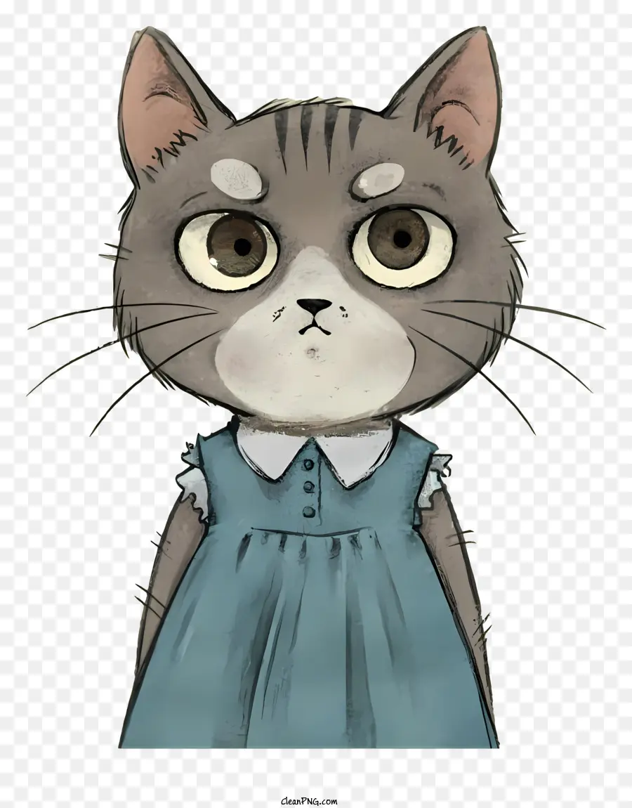 grey cat blue dress large eyes serious expression standing cat