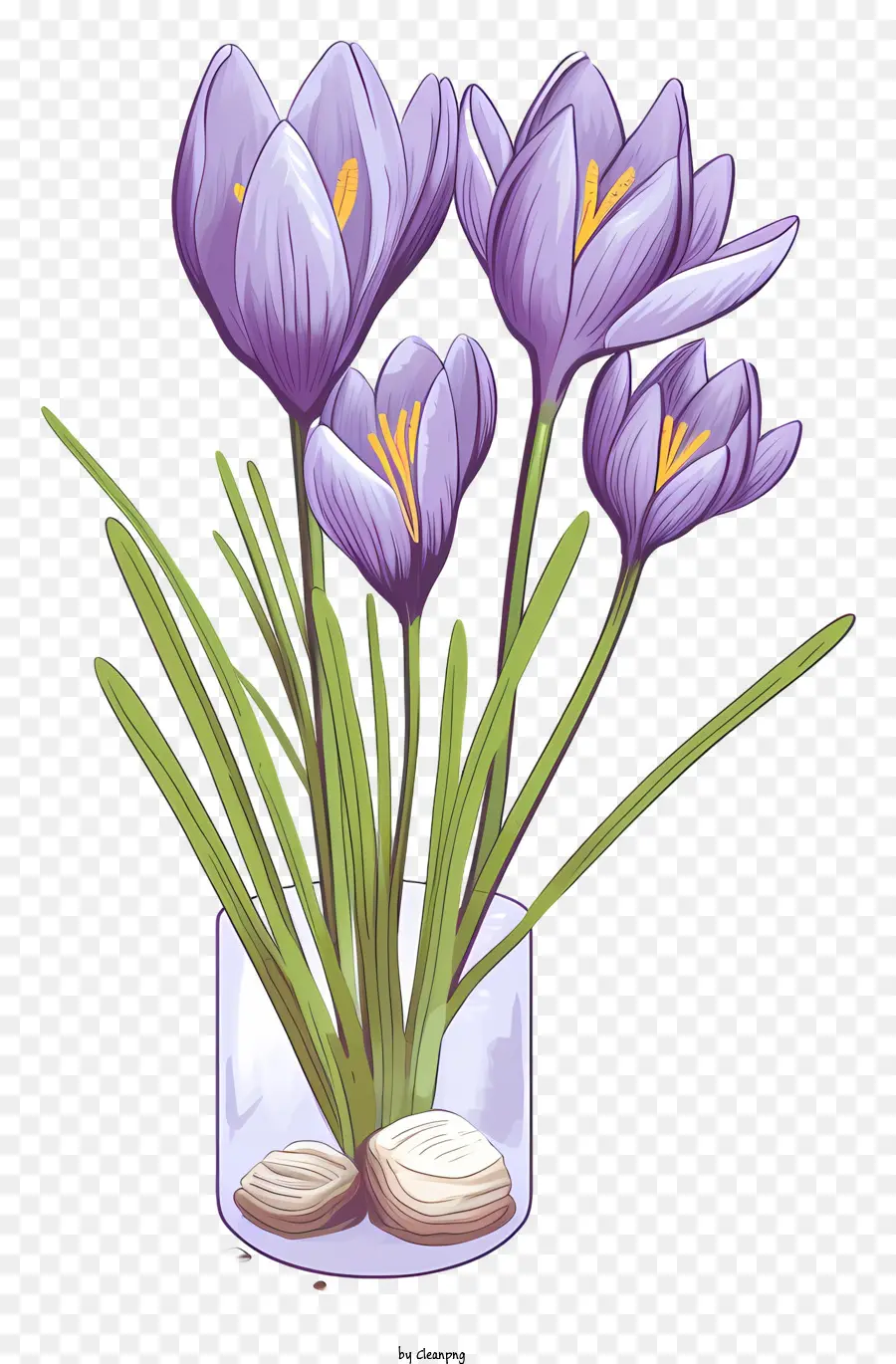 Vase Purple Crocusse Schwarzer Hintergrund Symmetrische Anordnung Square Format - Quadratische Vase mit lila Krokussen in symmetrischer Anordnung