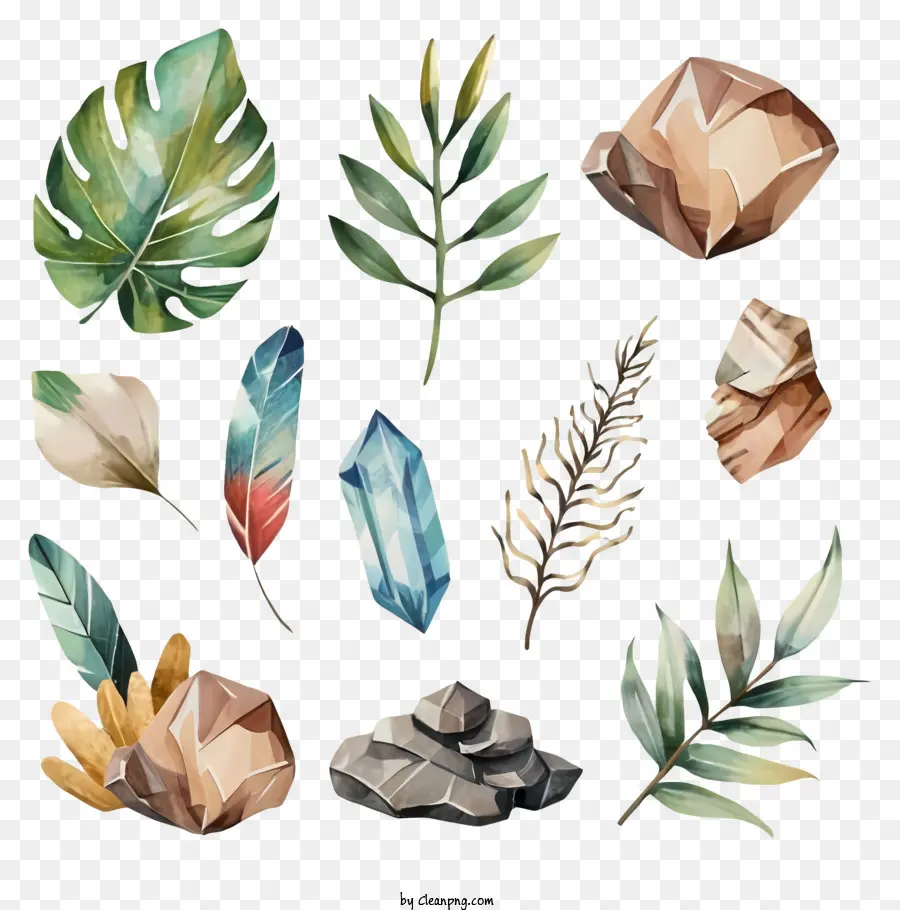 Aquarellpflanzen Blätterzweiste Felsige Steine ​​natürlicher Elemente Naturalistischer Stil - Aquarellpflanzen mit natürlichen Elementen und Texturen