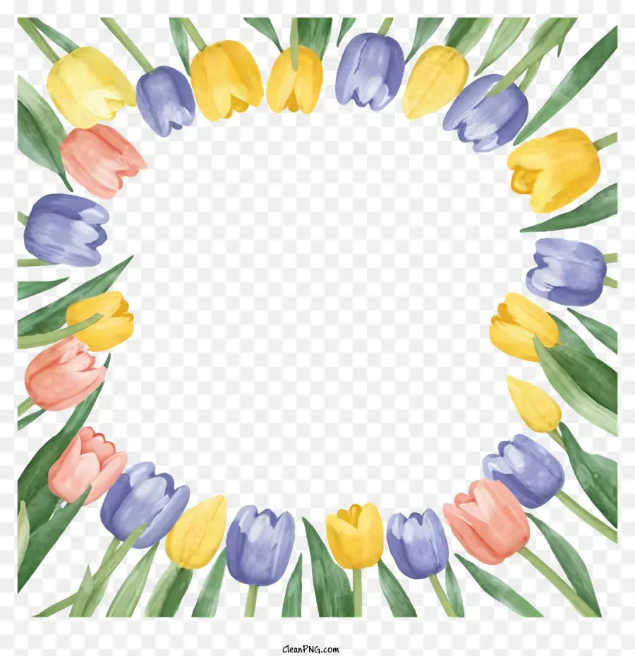 tulip khung - Khung hình tròn với hoa tulip đầy màu sắc trên lá