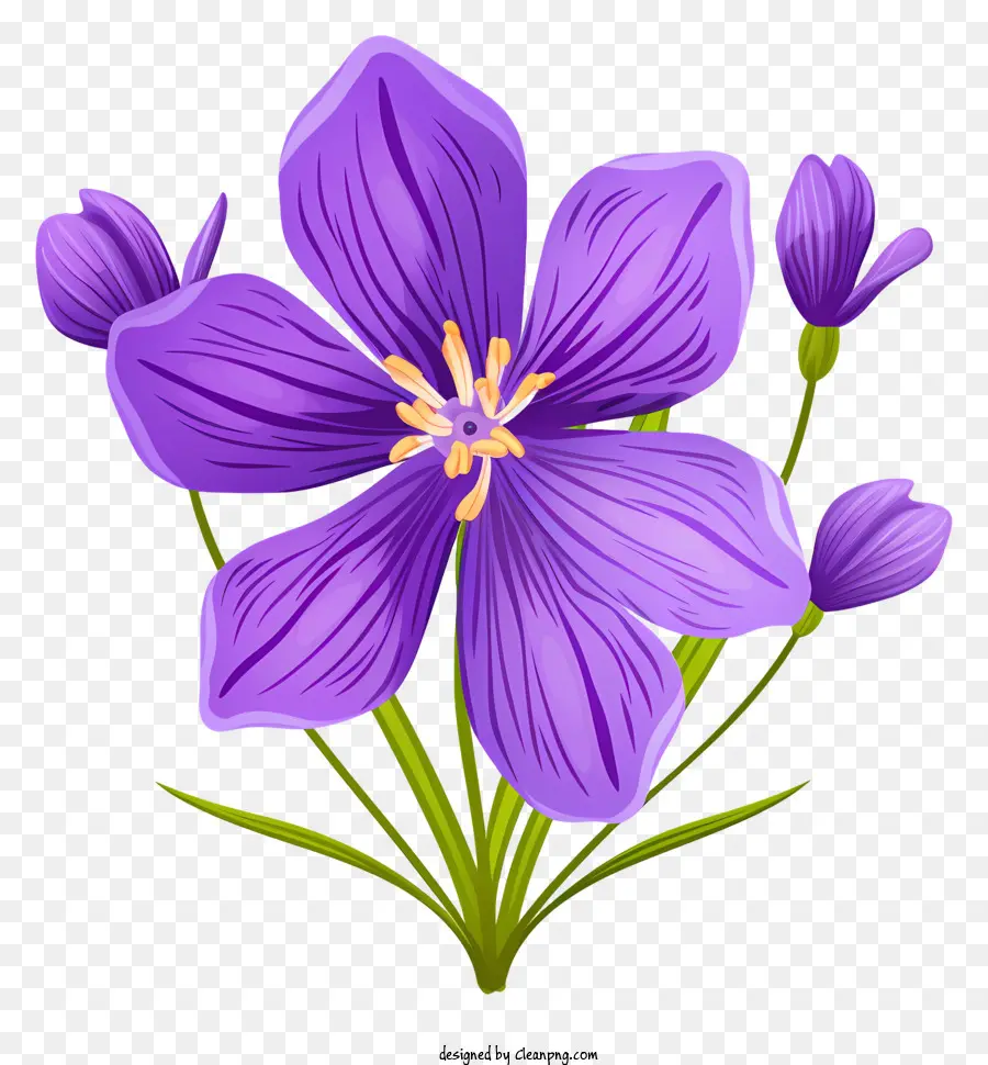 fiore viola - Immagine del fiore viola con centro giallo
