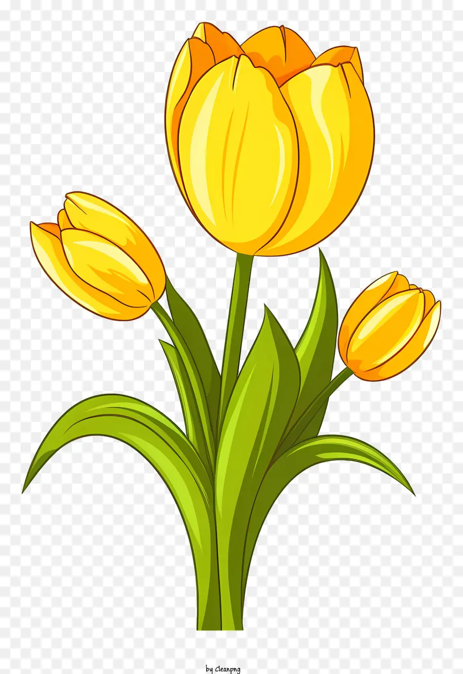 TULIPI GIALLI TULIPI NERO BLACO SCONTO CASCADING COMMERSI - Bouquet di tulipano giallo vibrante su sfondo nero