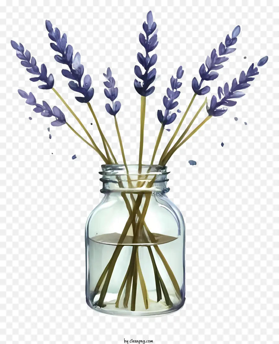 Lavendelglasglas Glas mit Blumen lila Blüten im Glas Lavendel -Etikett frische Lavendelblumen - Frische Lavendelblumen in einem Glas