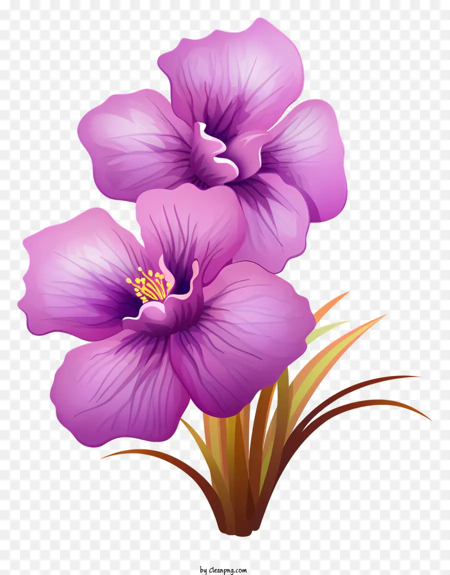 la disposizione dei fiori - Disposizione di fiori rosa dettagliati, colorati e di sinistra