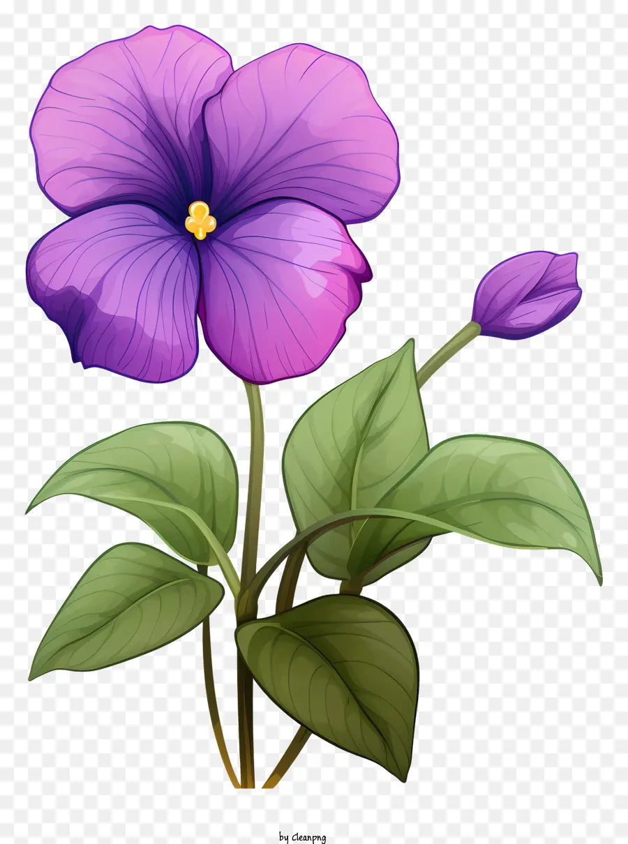 lila Blume - Lila Blume mit gekräuselten Blütenblättern und grünen Blättern