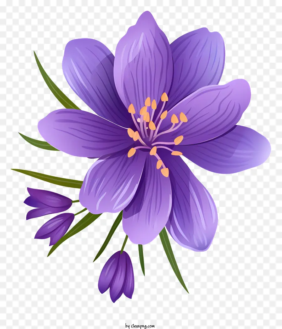 lila Blume - Lila Blume mit langen Stielen auf schwarzem Hintergrund