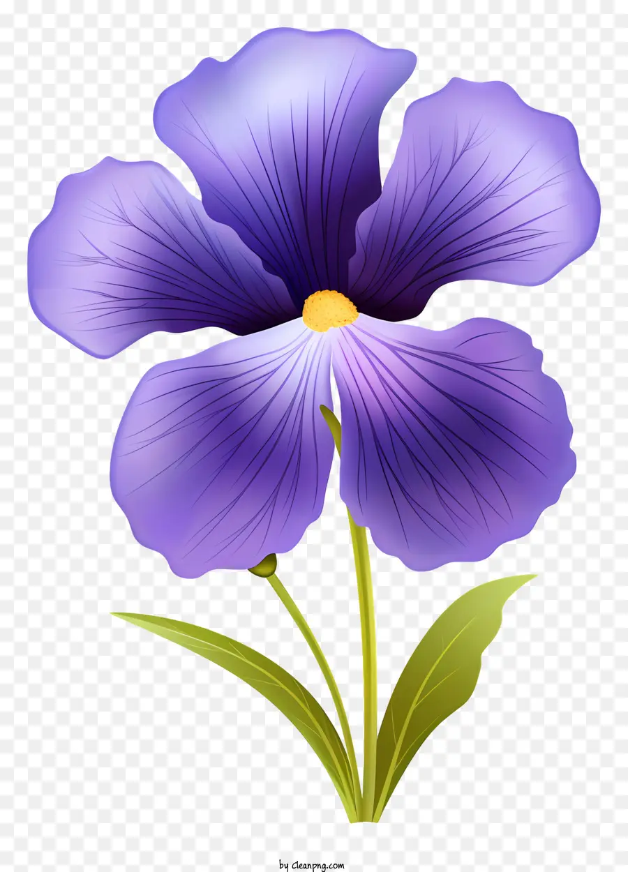 hoa tím - Hoa màu tím đơn giản với trung tâm màu trắng và điểm xanh