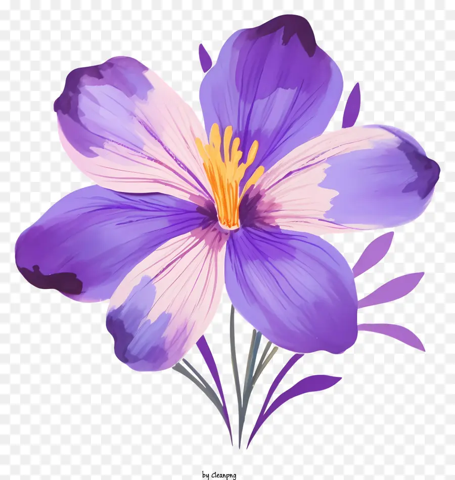 hoa tím - Hoa màu tím với cánh hoa cuộn tròn trên nền đen