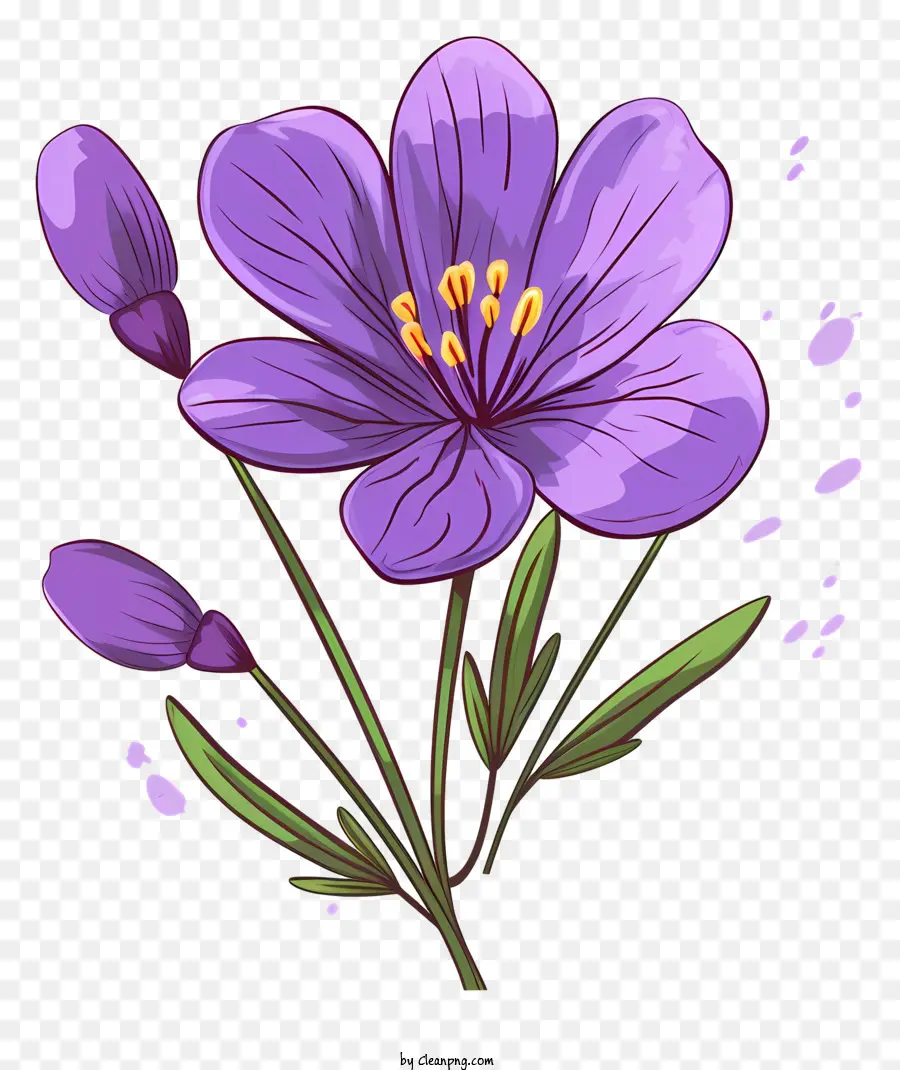 fiore viola - Fiore viola con foglie verdi sullo sfondo nero