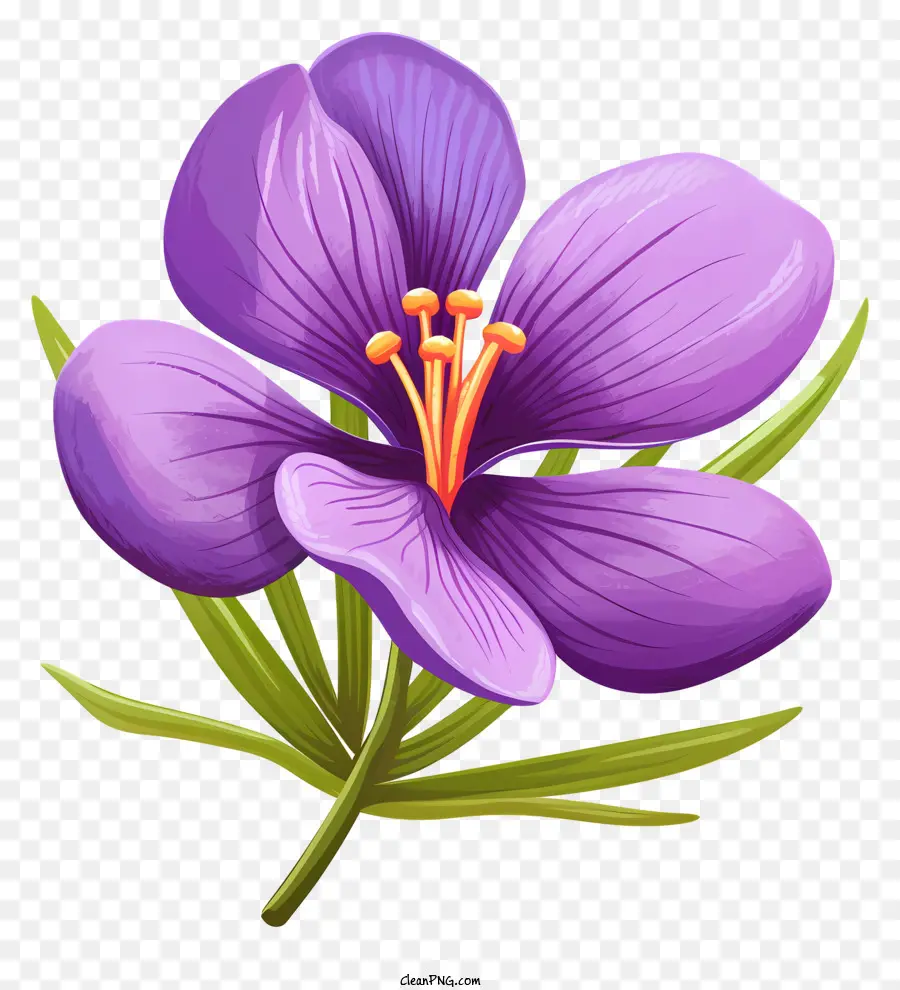 hoa tím - Hoa màu tím với nhị hoa lộ ra trên thân cây