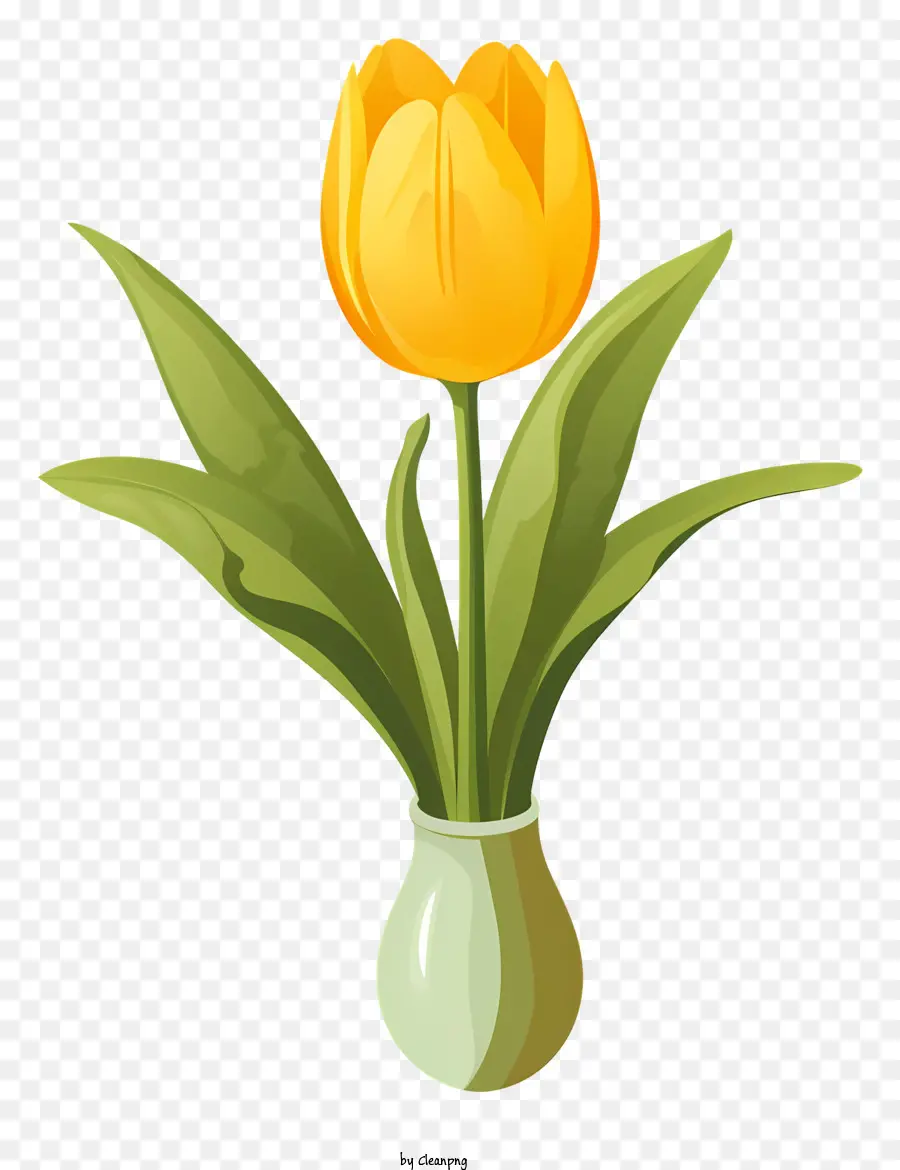 gelbes Licht - Gelbe Tulpenpflanze in einer grünen Vase