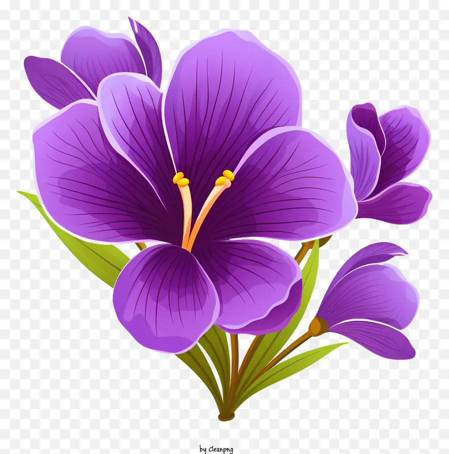 hoa tím - Hoa màu tím với cánh hoa mở, lá phát sáng