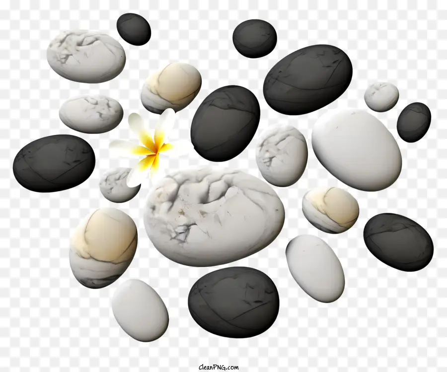 weiße Blume - Schwarz -Weiß -Steine ​​mit Blumenarrangement