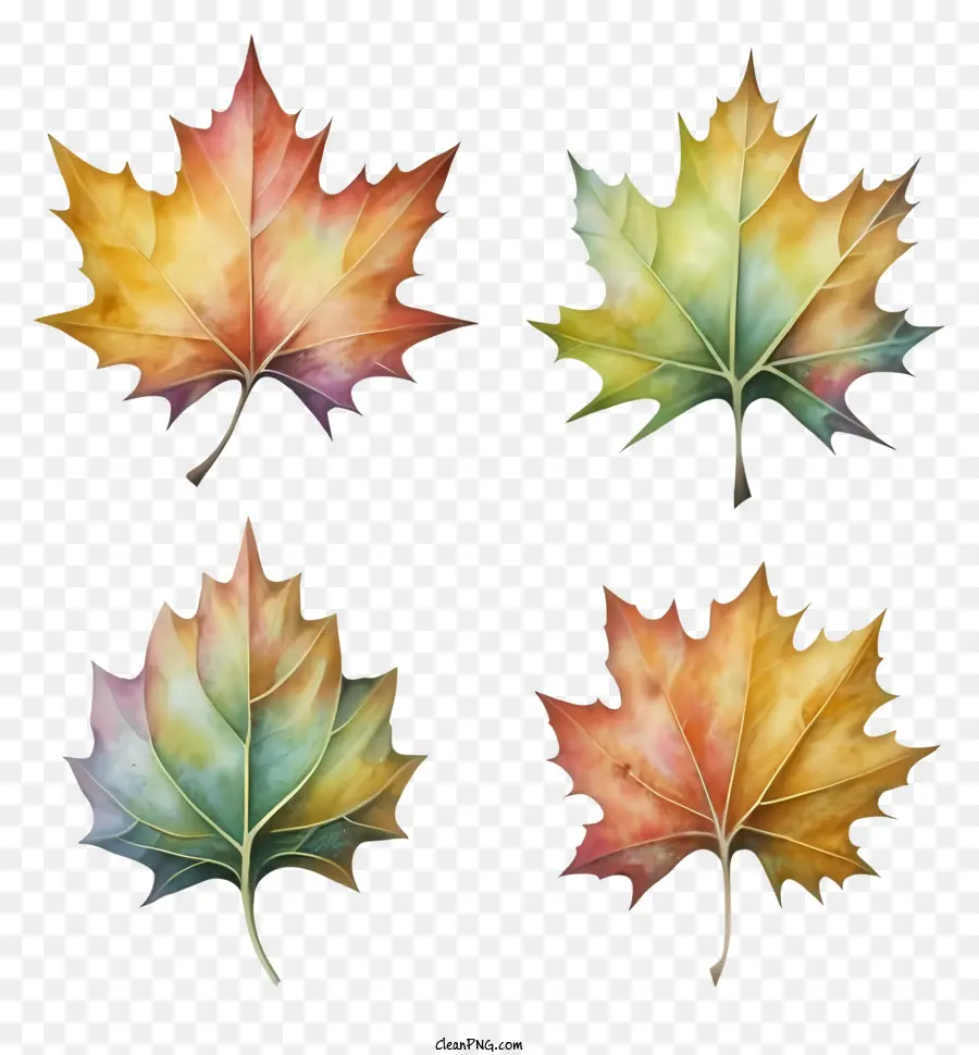 Herbst Blätter - Herbstblätter in verschiedenen Farbtönen kunstvoll angeordnet