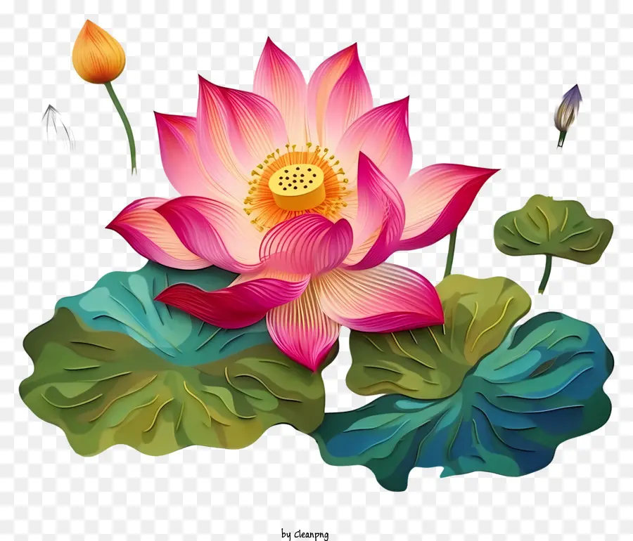 Florale Schönheit - Lebendiger rosa Lotus auf dunklem Hintergrund mit Kontrast
