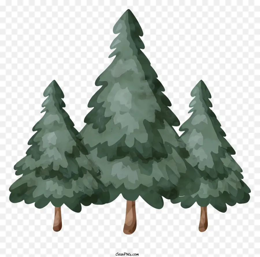 alberi di pino - Tre pini che simboleggiano la pacifica bellezza all'aperto
