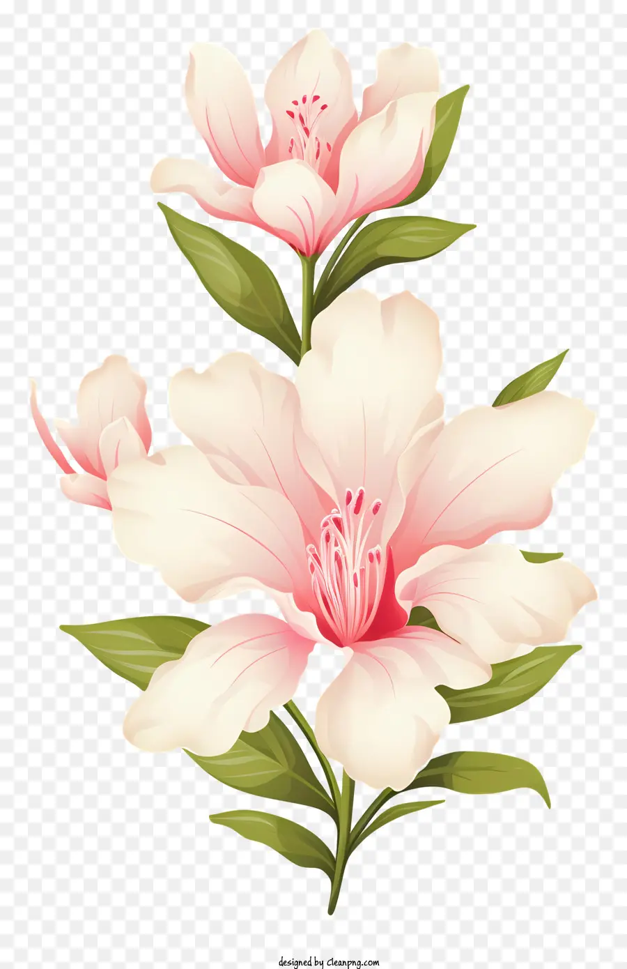 pink flowers bouquet white centers green leaves lifelike flowers