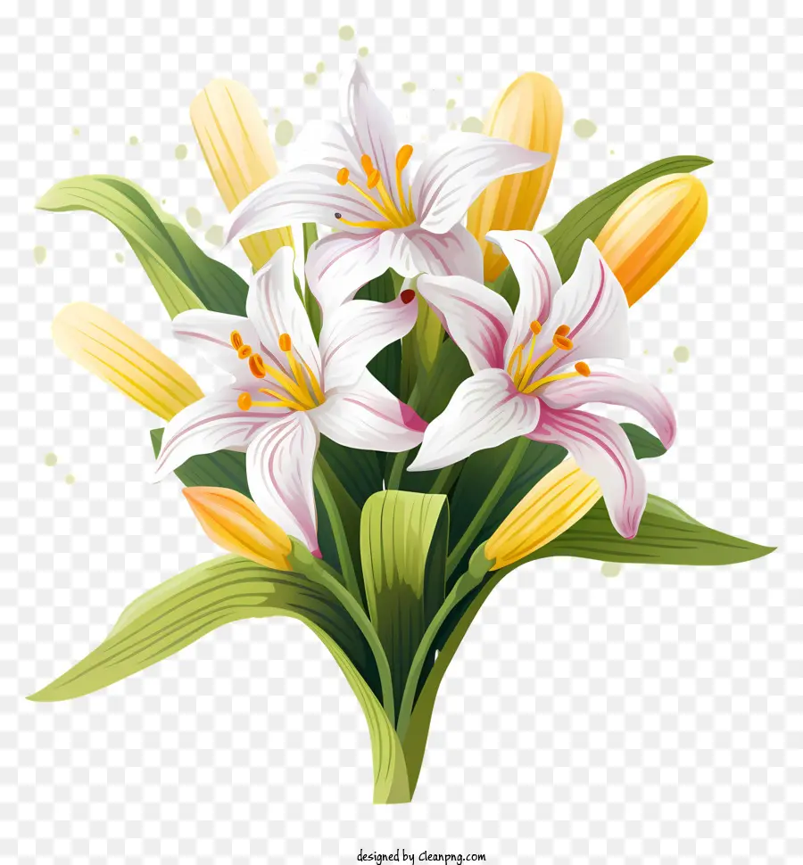 gigli bianchi bouquet giallo gigli di fiori disposizione steli e foglie - Disegno realistico di gigli bianchi e gialli
