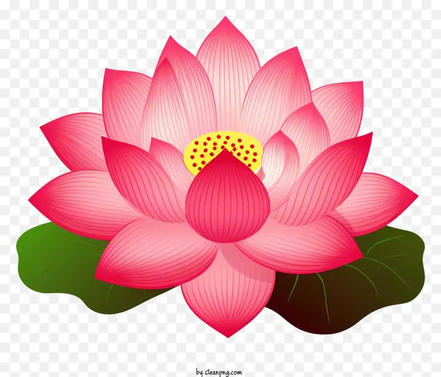 Schlüsselwörter: Pink Lotus Blume Heilige Symbol Religiöse Kunst Reinheit Spirituelle Erleuchtung - Pink Lotus: Symbolisiert neue Anfänge und Wachstum