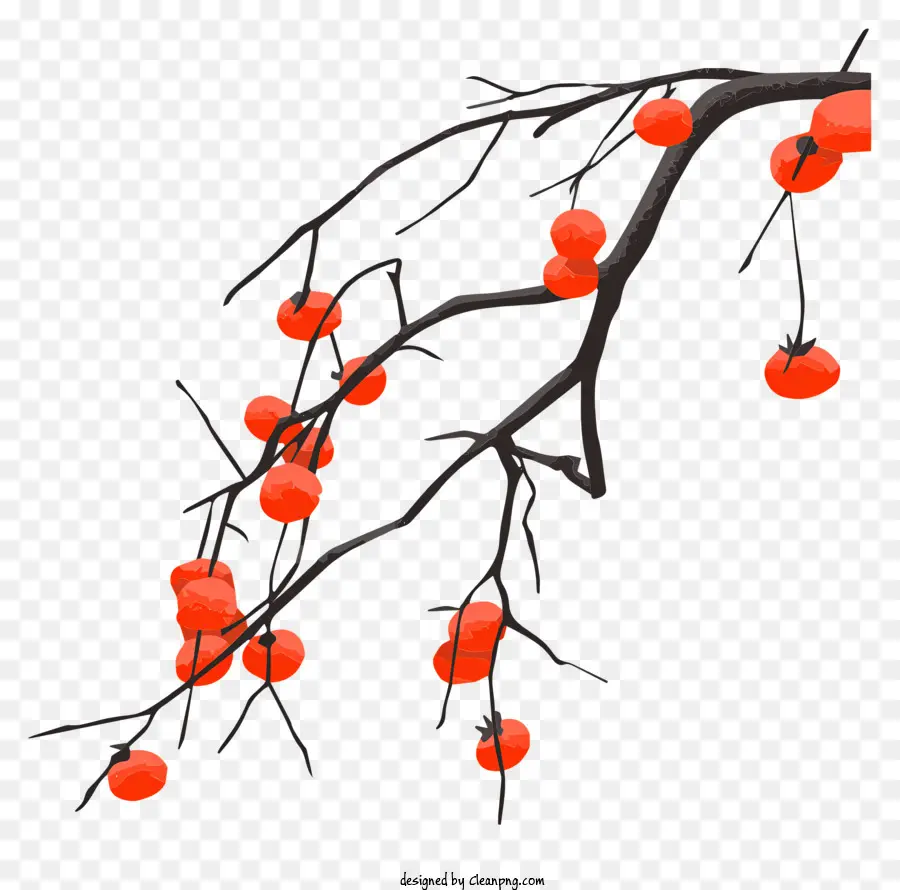 Cây cành quả đỏ thân cây - Cành xoắn với quả mọng đỏ và lá xanh