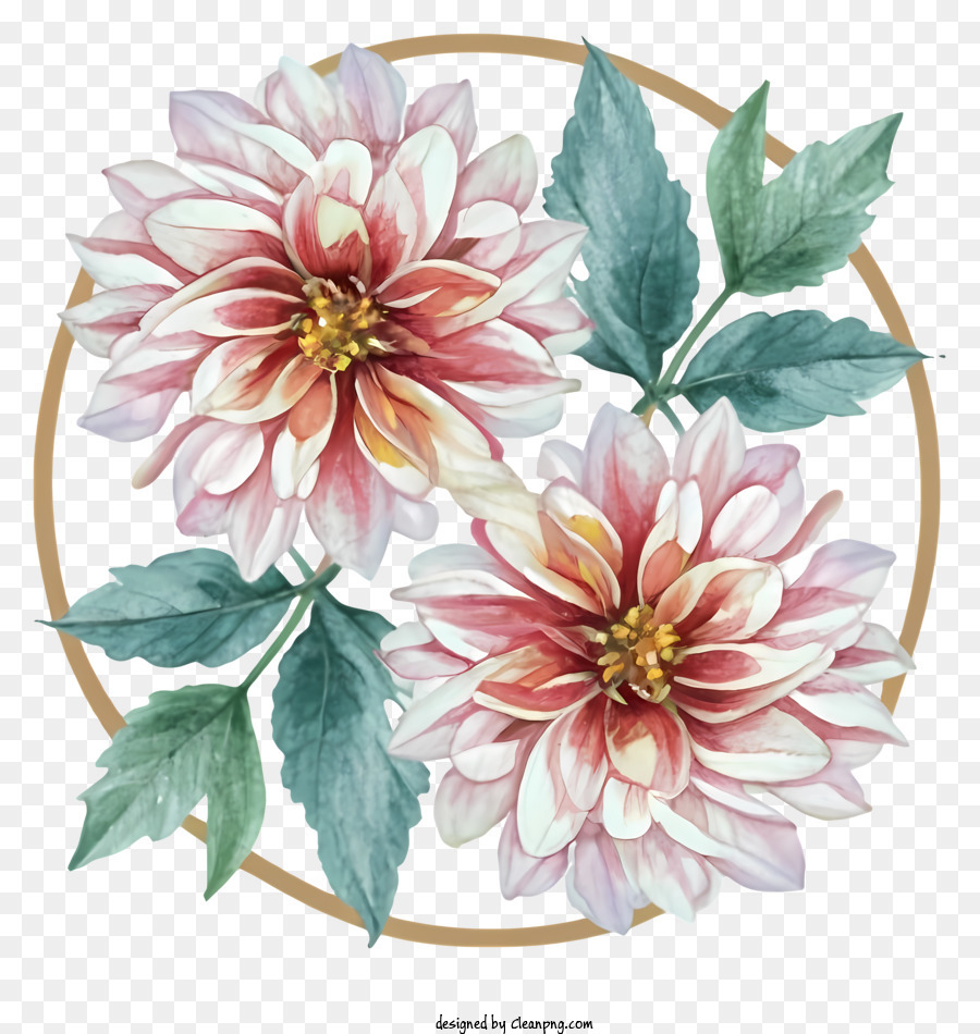 florales Design - Pink Dahlkreis mit weißen Zentren und Blättern