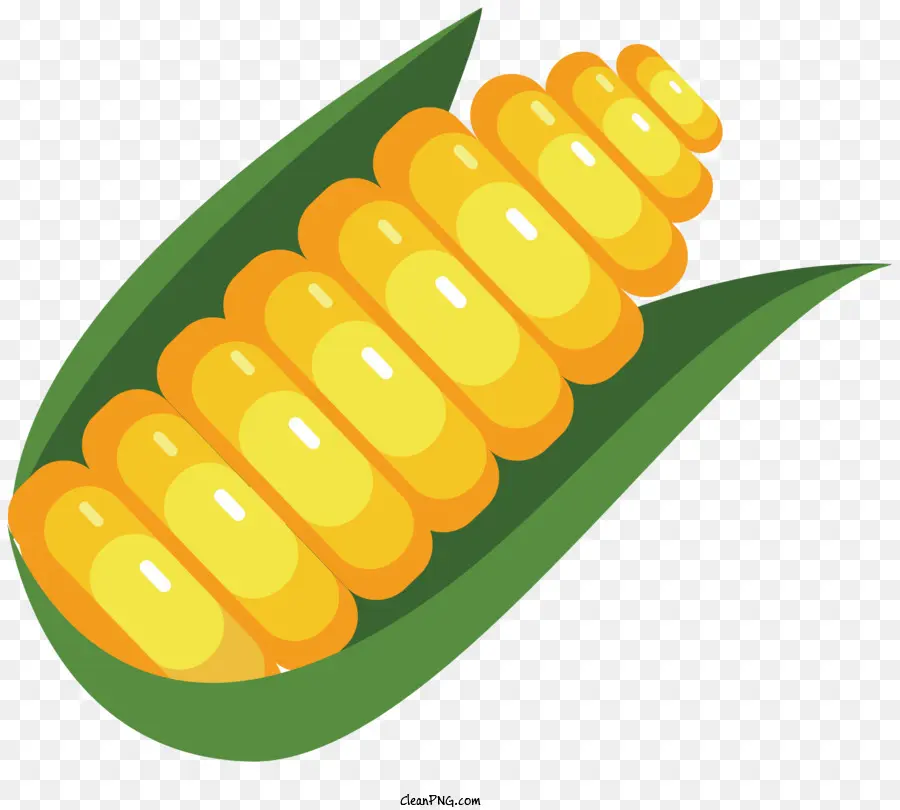 Mais auf den kobengelben Mais -Körben grüne Blätter bereit, Mais zu essen - Nahaufnahme des reifen Mais am COB
