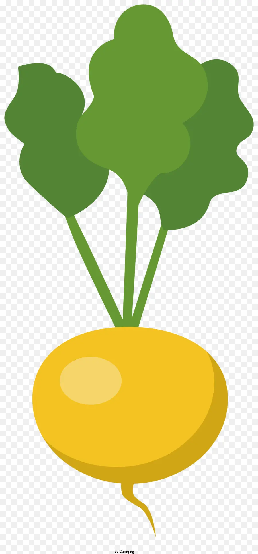 grünes Blatt - Goldene Radieschenpflanze mit einem grünen Blatt