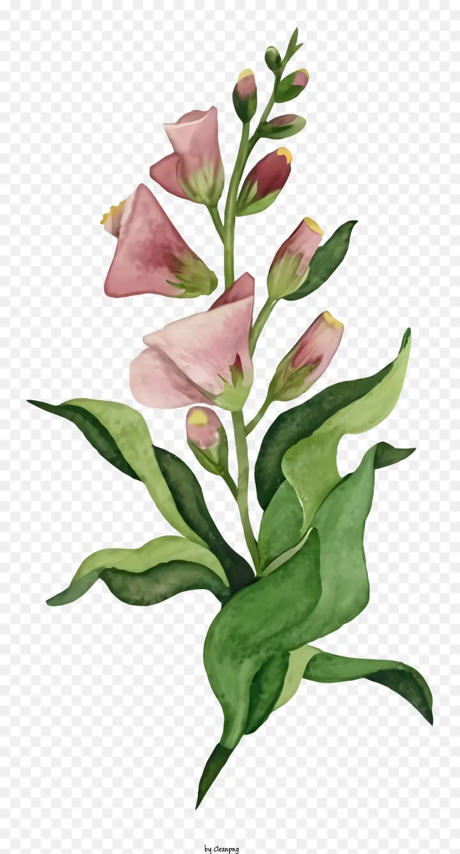 Blume Zeichnung - Einfache rosa Blume mit großen grünen Blättern