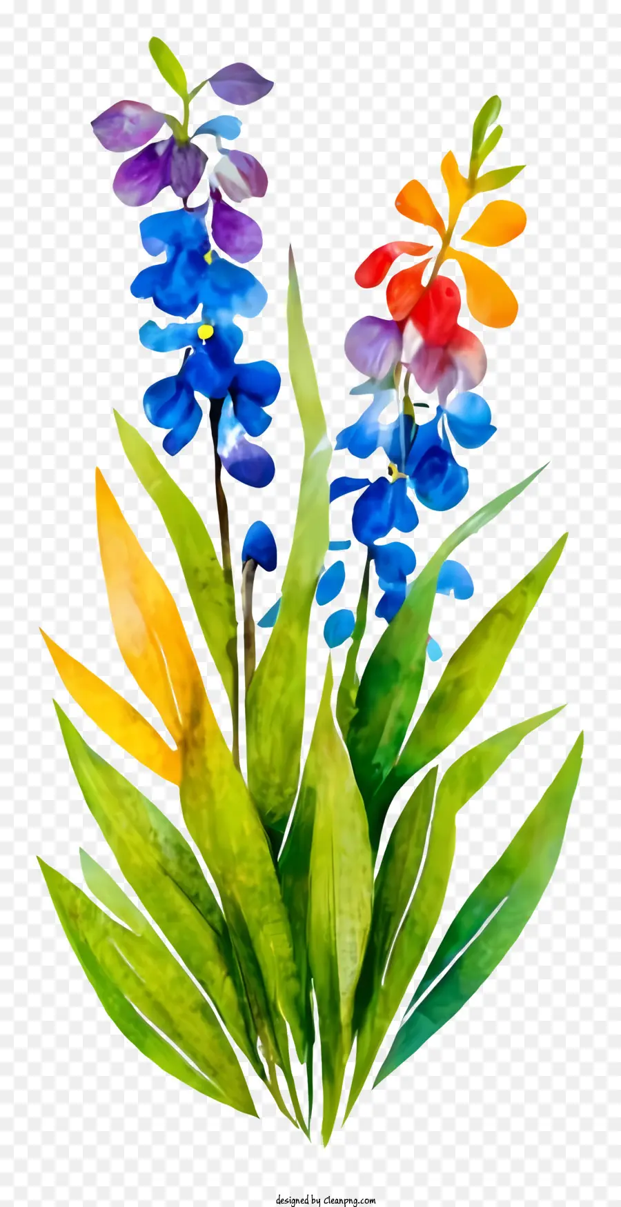 bouquet di fiori - Pittura colorata di acquerello di un bouquet su nero