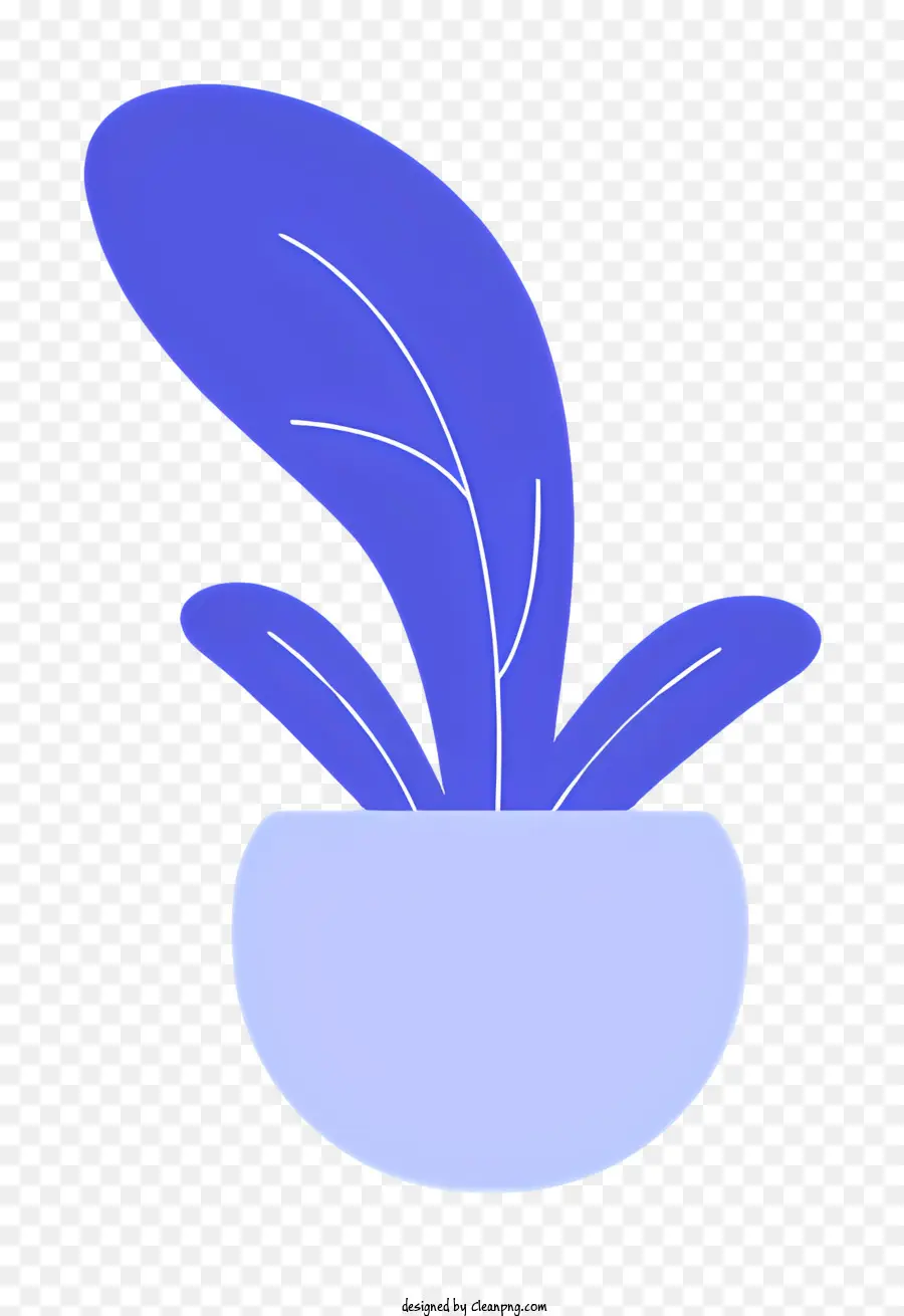 Pflanze weiße Topf mit großer Blattbraun, grüne Kanten - Pflanze in weißem Topf mit braunem/grünem Blatt