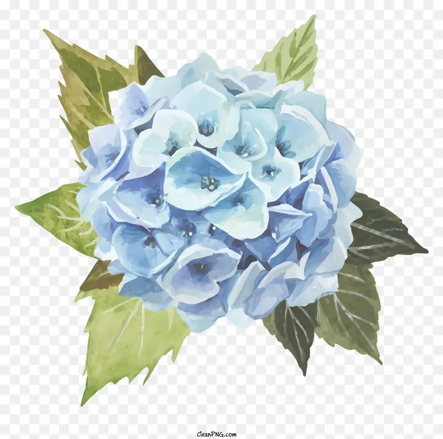 Hochzeit Blumen - Blaue Hydrantblume mit gelbem Zentrum, lebendig